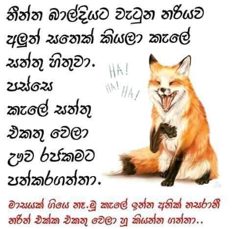 FB_IMG_1636217211116.jpg