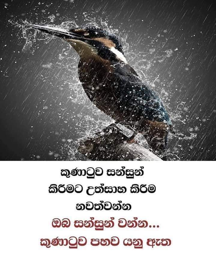 FB_IMG_1636259478515.jpg