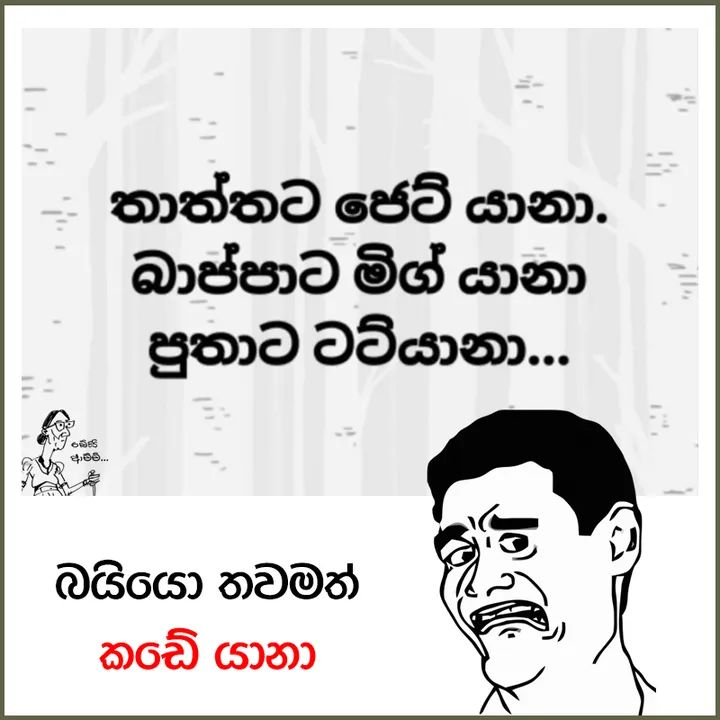 FB_IMG_1640872600195.jpg