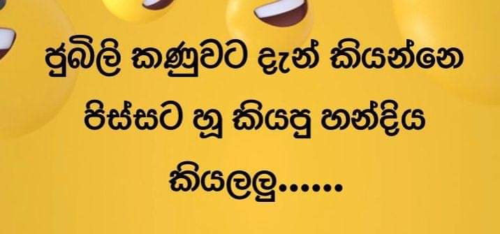 FB_IMG_1641018863215.jpg