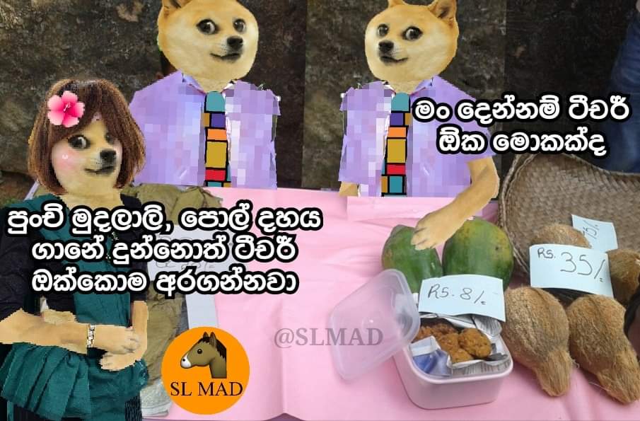 FB_IMG_1644212212949.jpg