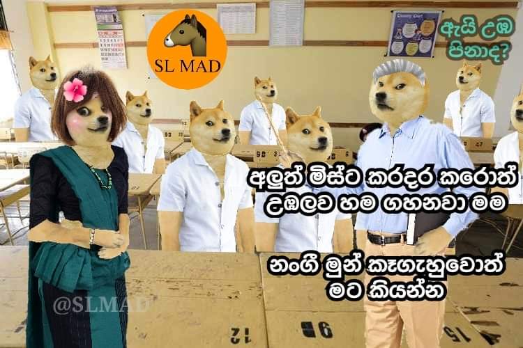 FB_IMG_1644212217645.jpg