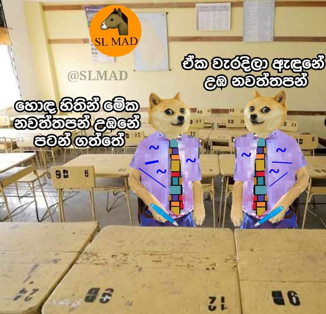 FB_IMG_1644212219841.jpg