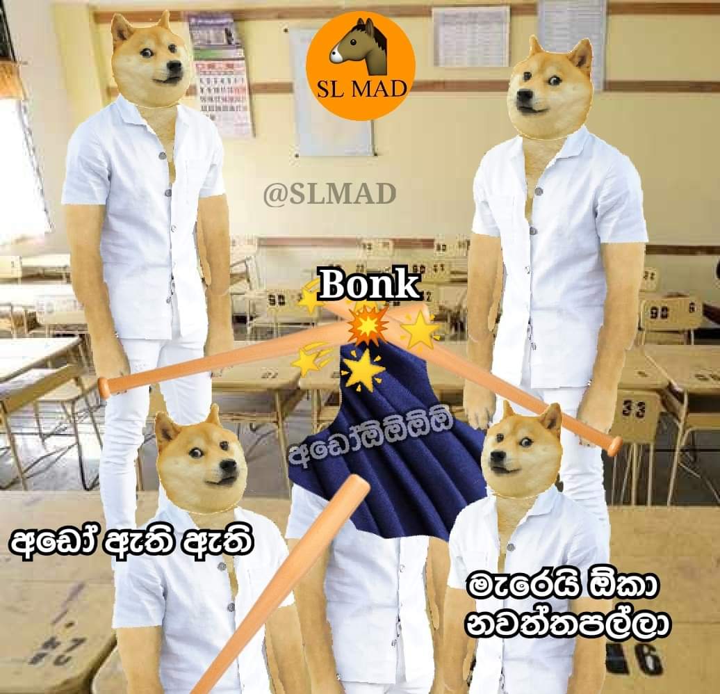 FB_IMG_1644212221865.jpg