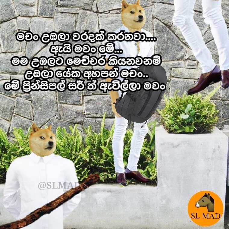 FB_IMG_1644212230058.jpg