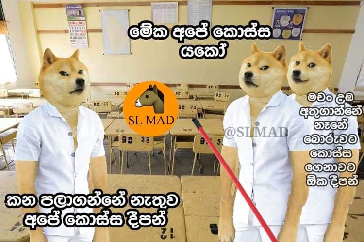 FB_IMG_1644212234281.jpg