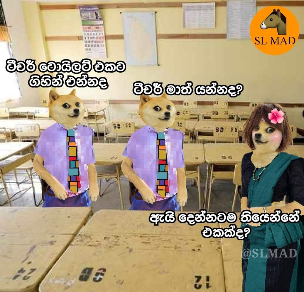 FB_IMG_1644212238260.jpg