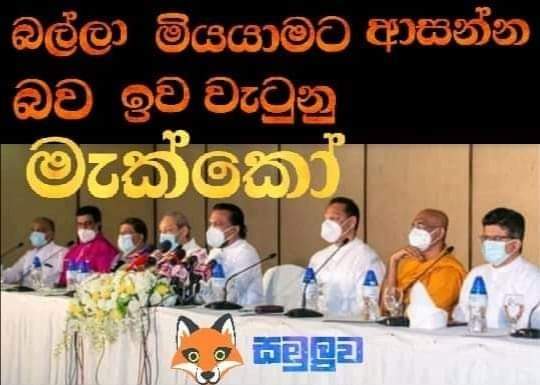 FB_IMG_1646321283426.jpg