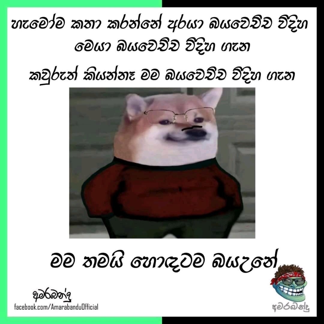 FB_IMG_16489762187093829.jpg