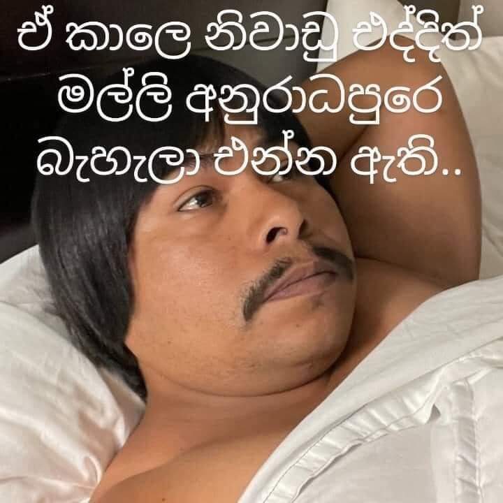 FB_IMG_1649527203192.jpg