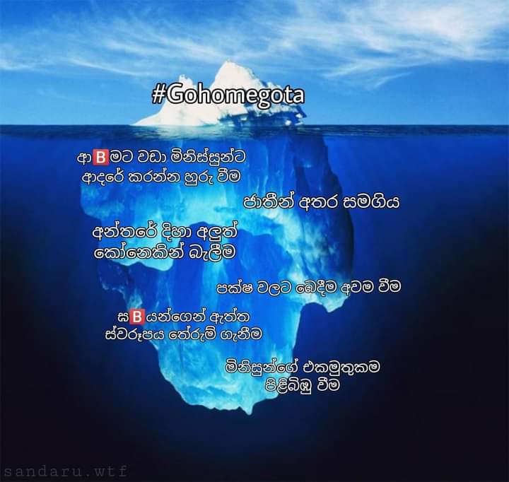 FB_IMG_1649536397903.jpg