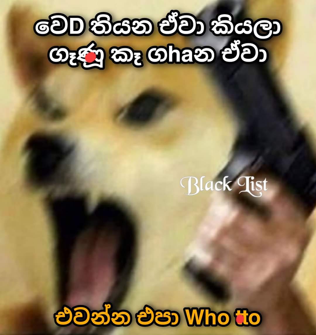 FB_IMG_1652202602472.jpg