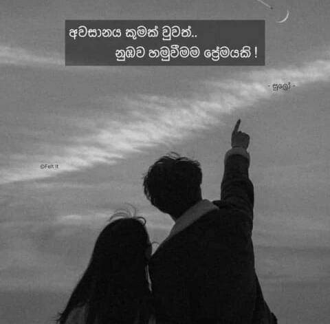 FB_IMG_1652717448874.jpg