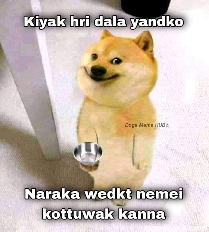 FB_IMG_1653115095911.jpg