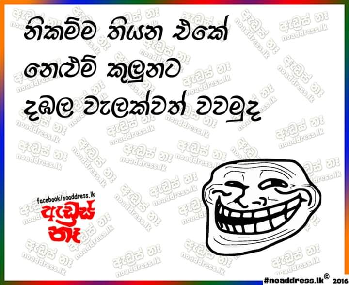 FB_IMG_1654168146297.jpg