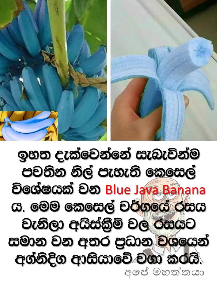 FB_IMG_1654334486136.jpg