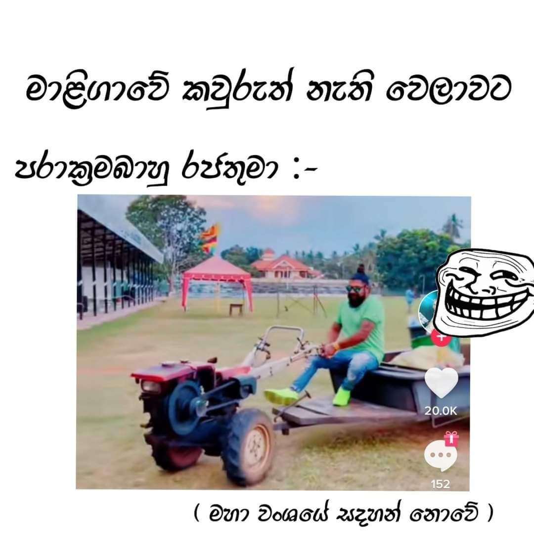 FB_IMG_1654414357997.jpg