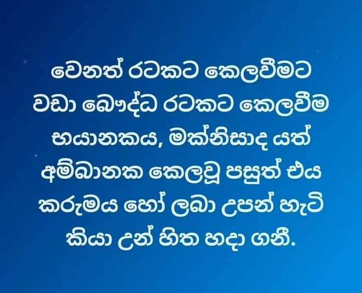 FB_IMG_1655383336490.jpg
