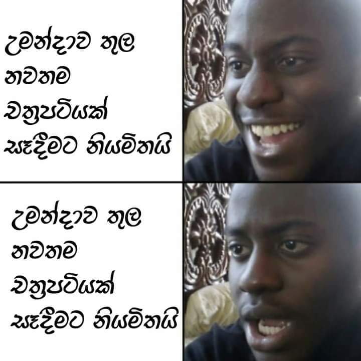 FB_IMG_1655612022120.jpg