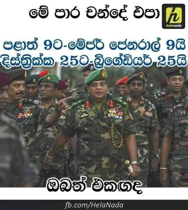 FB_IMG_1657046423541.jpg