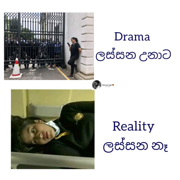 FB_IMG_1657389213473.jpg