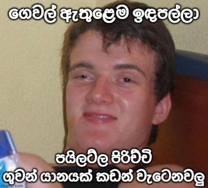 FB_IMG_1657549069569.jpg