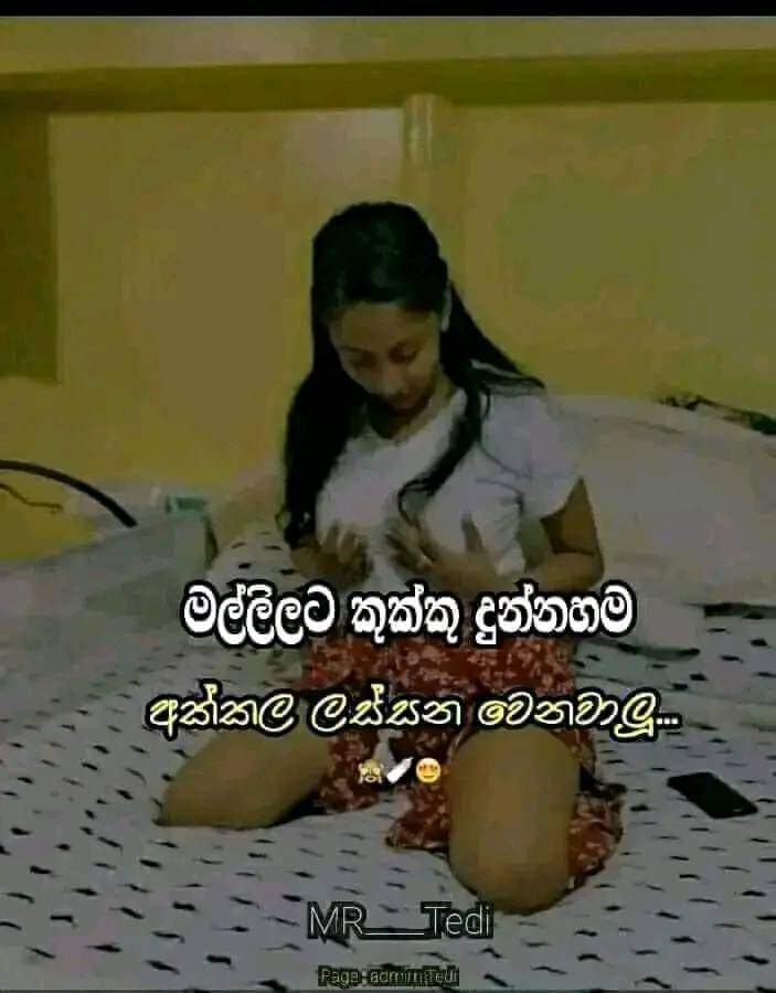 FB_IMG_1665975537046.jpg