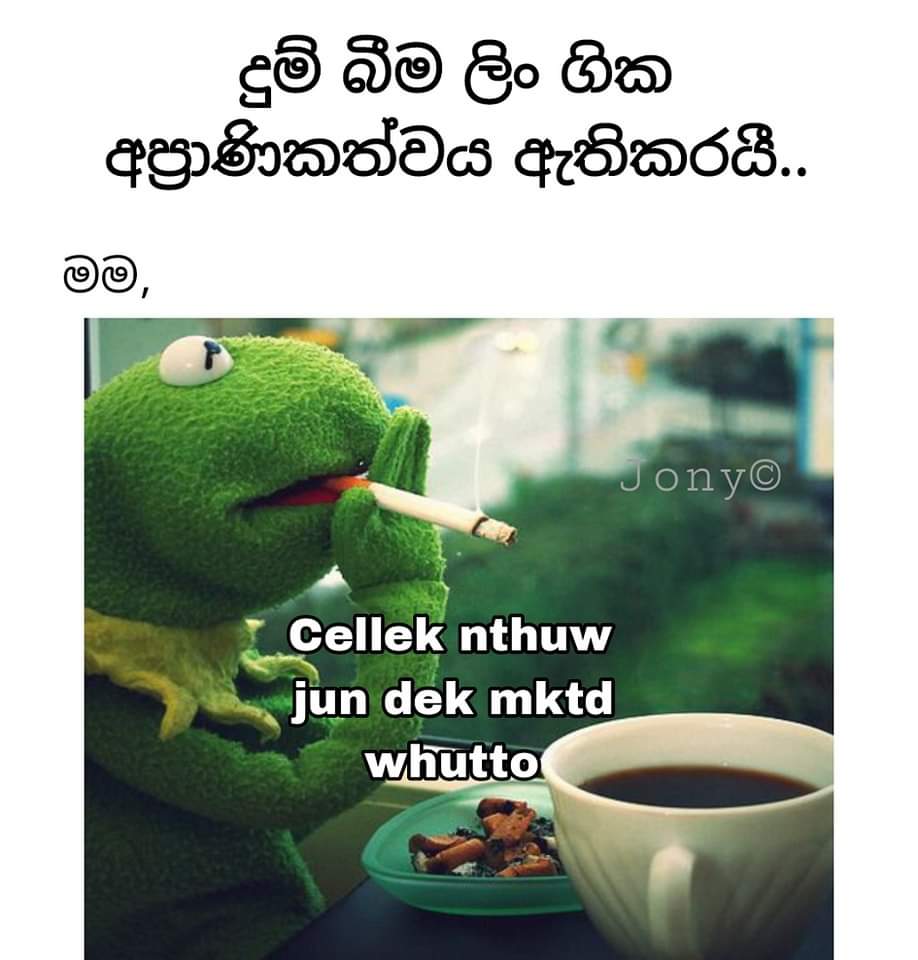FB_IMG_1668044264687.jpg