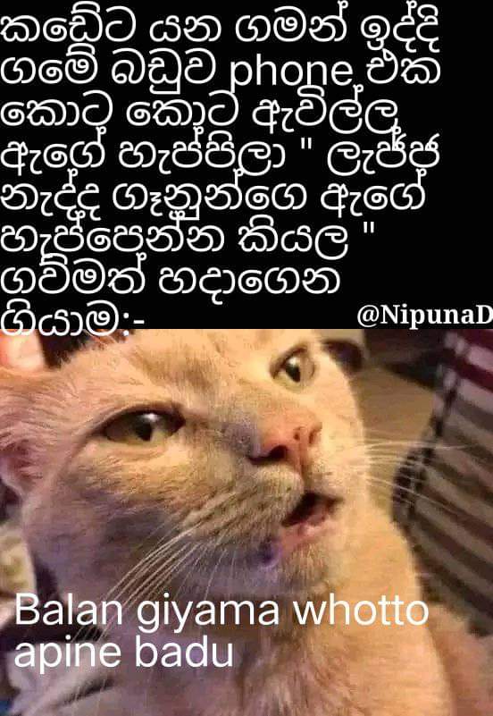 FB_IMG_1675477504638.jpg