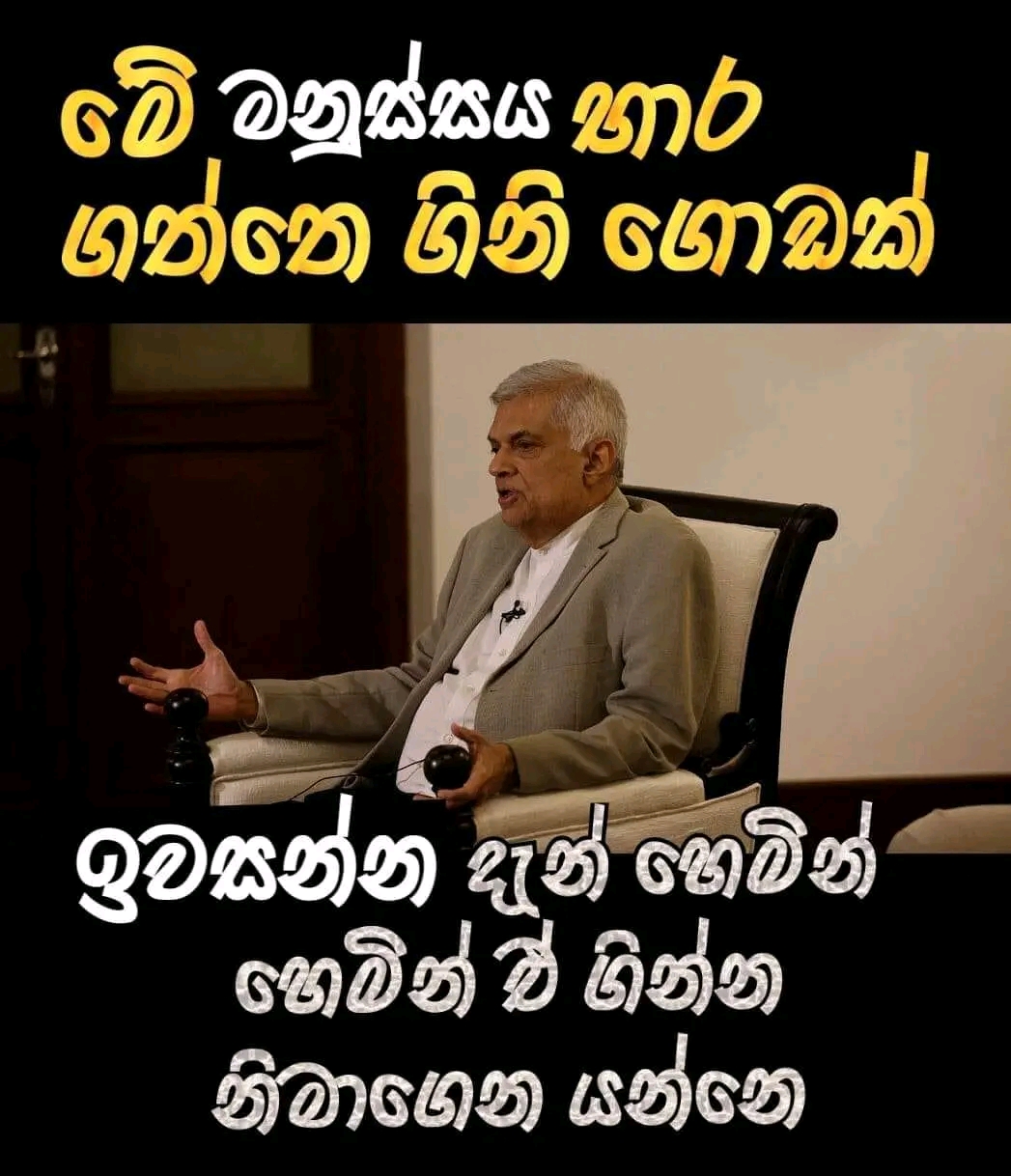 FB_IMG_16772353726225218.jpg