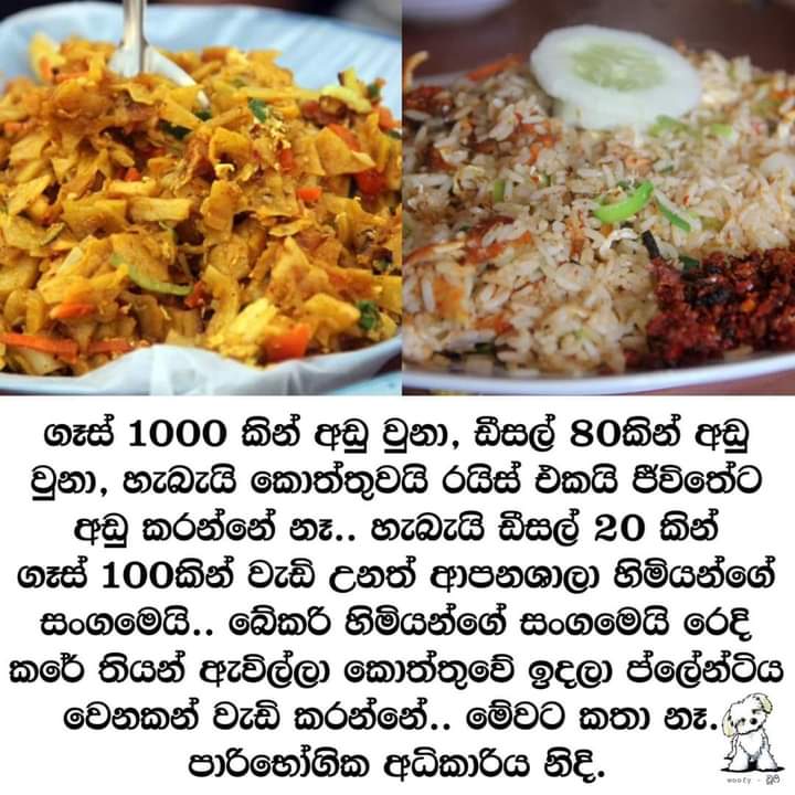 FB_IMG_1680609938131.jpg