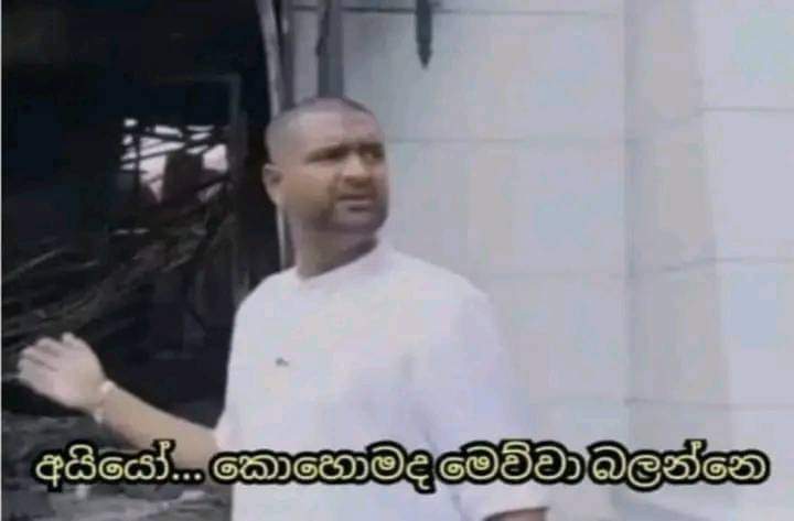 FB_IMG_1680615526579.jpg