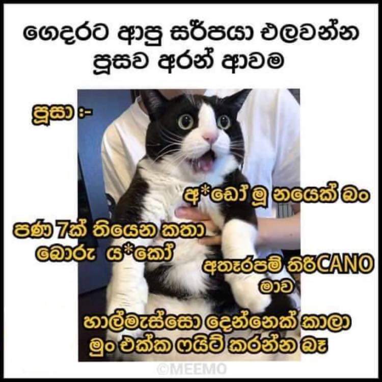 FB_IMG_1680715927775.jpg