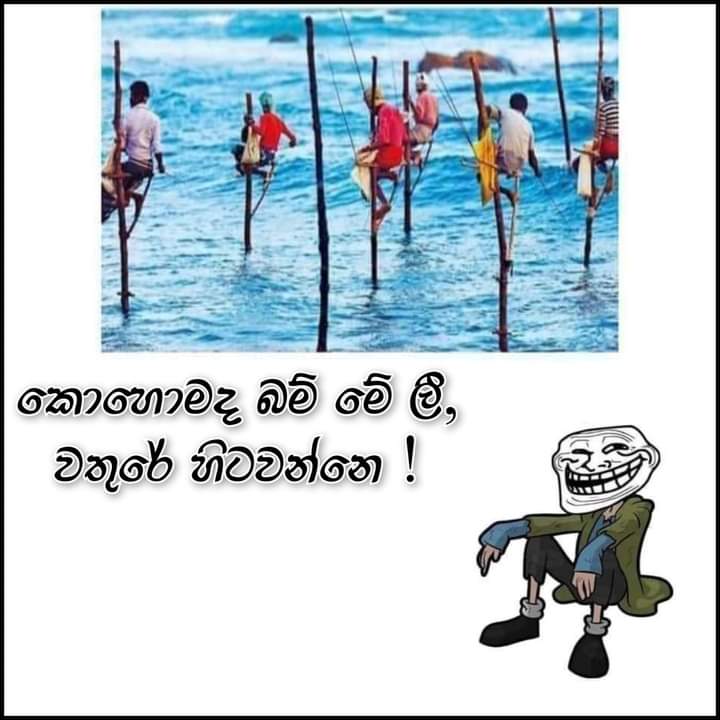 FB_IMG_1684084884228.jpg