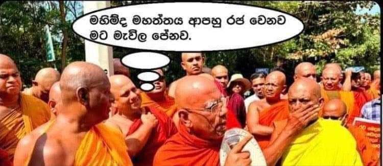 FB_IMG_1684340773049.jpg