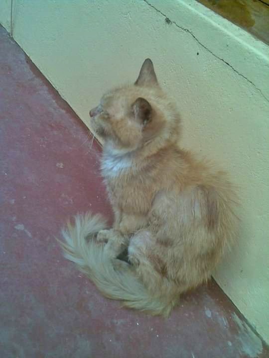 FB_IMG_1685538732438-01.jpeg