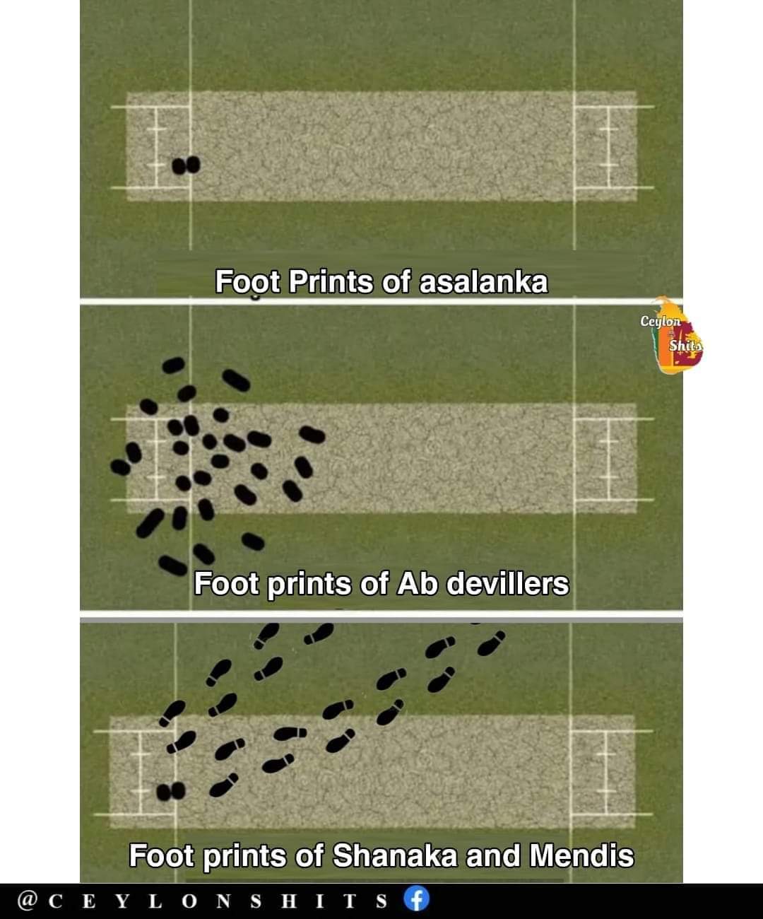 FB_IMG_1687889586209.jpg