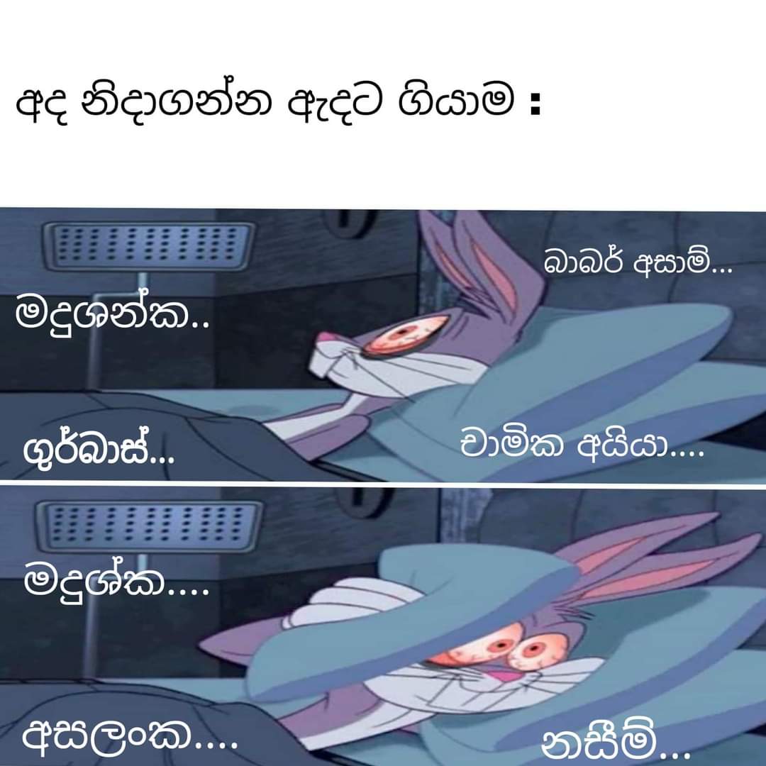 FB_IMG_1690739239636.jpg