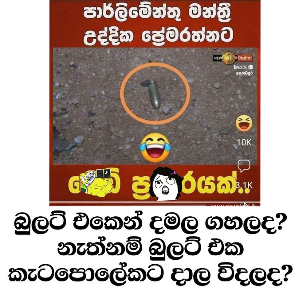 FB_IMG_1695131892637.jpg