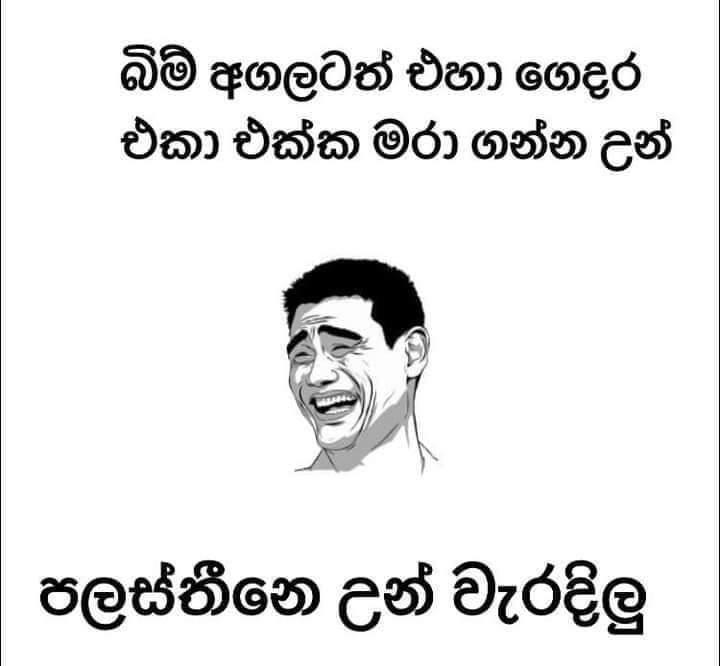 FB_IMG_1697216806031.jpg