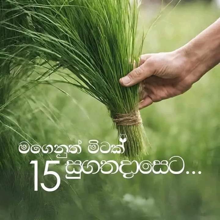 FB_IMG_1702606352768.jpg