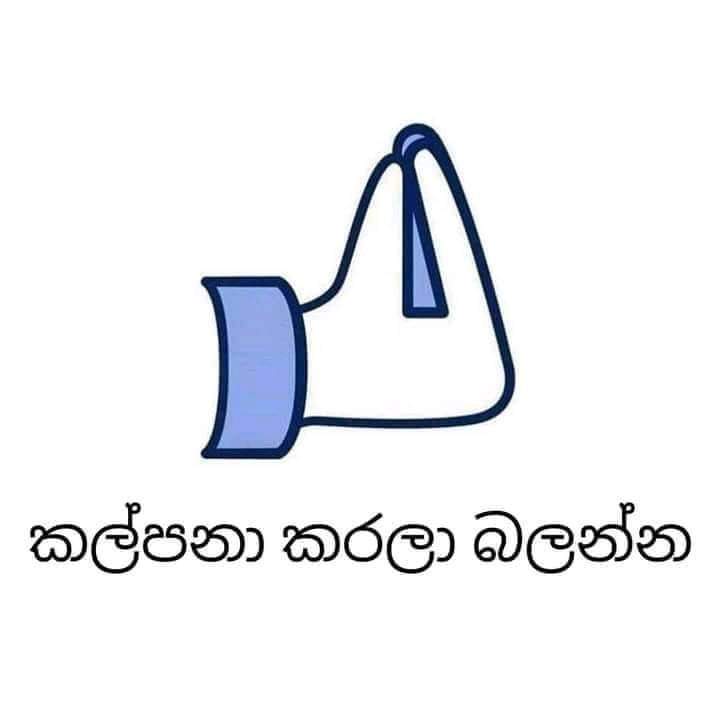 FB_IMG_1726414777358.jpg