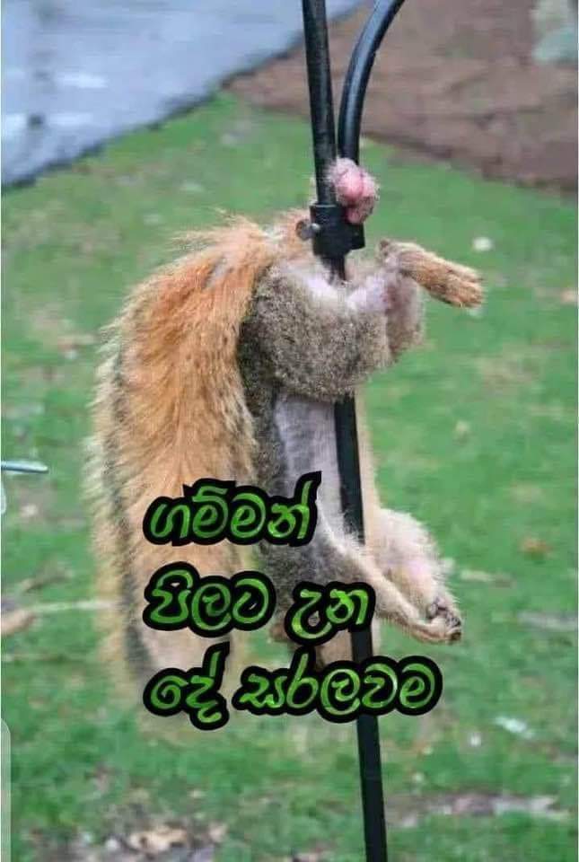 FB_IMG_1729513886414.jpg