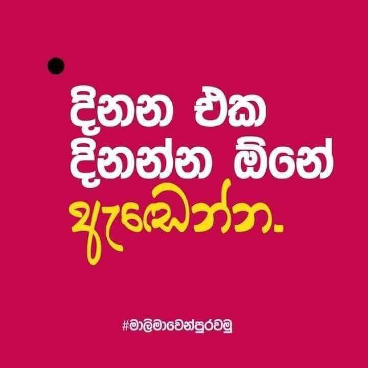 FB_IMG_1731254308171.jpg