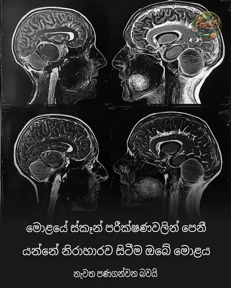 FB_IMG_1740661074127.jpg