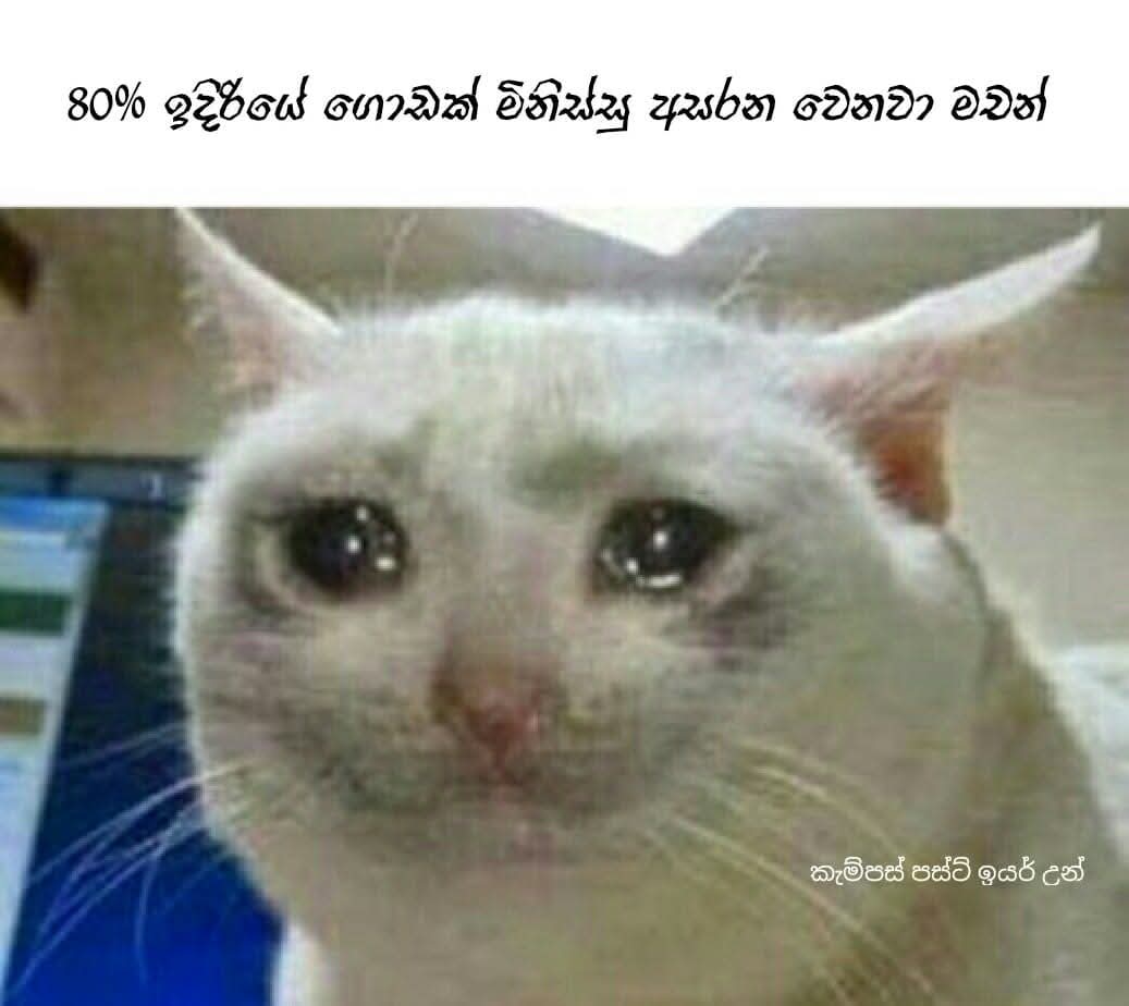 FB_IMG_1764215495783.jpg