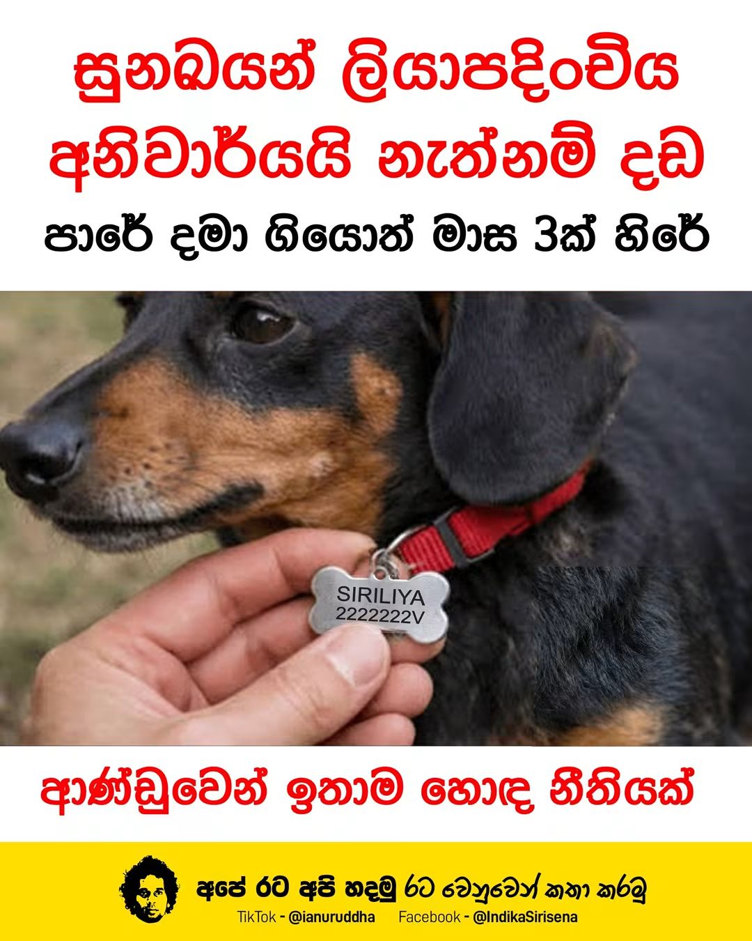 FB_IMG_1789550350753.jpg