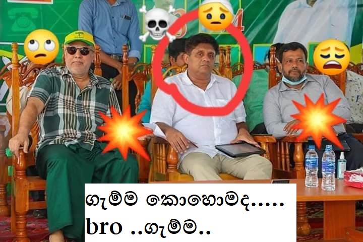 fgd.jpg