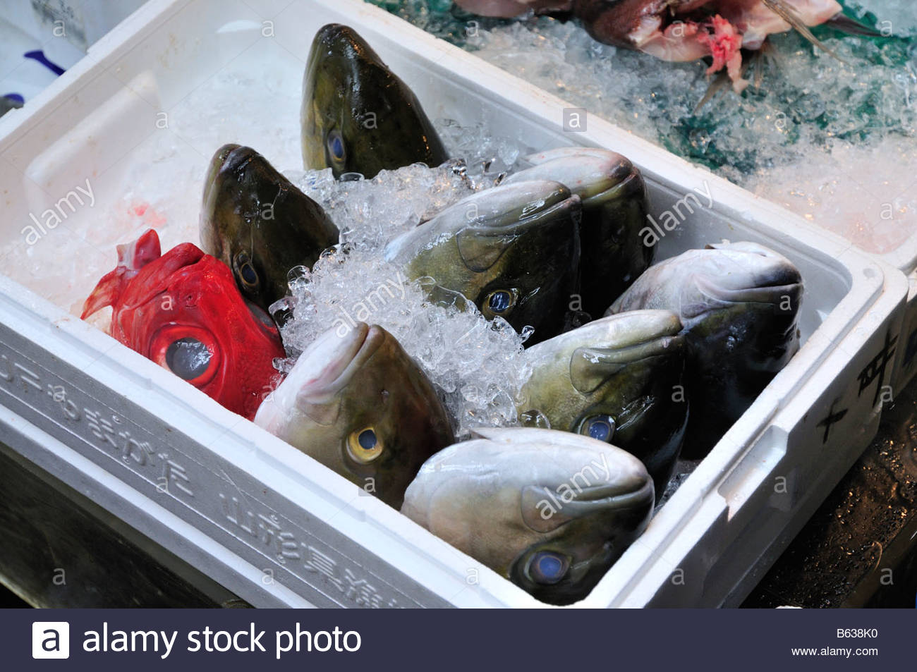 fish-heads-in-box-of-ice-at-tsukiji-fish-market-tokyo-japan-B638K0.jpg