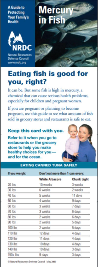 Fish_1.jpg
